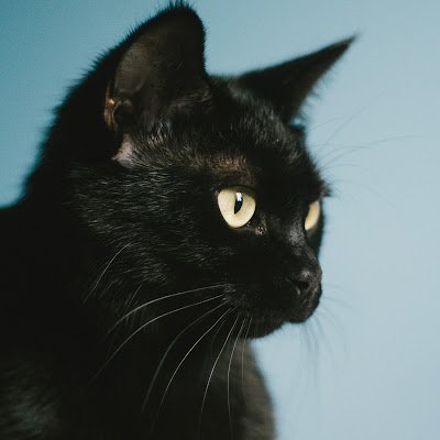 /img/icons/user_259_1753934833.jpg