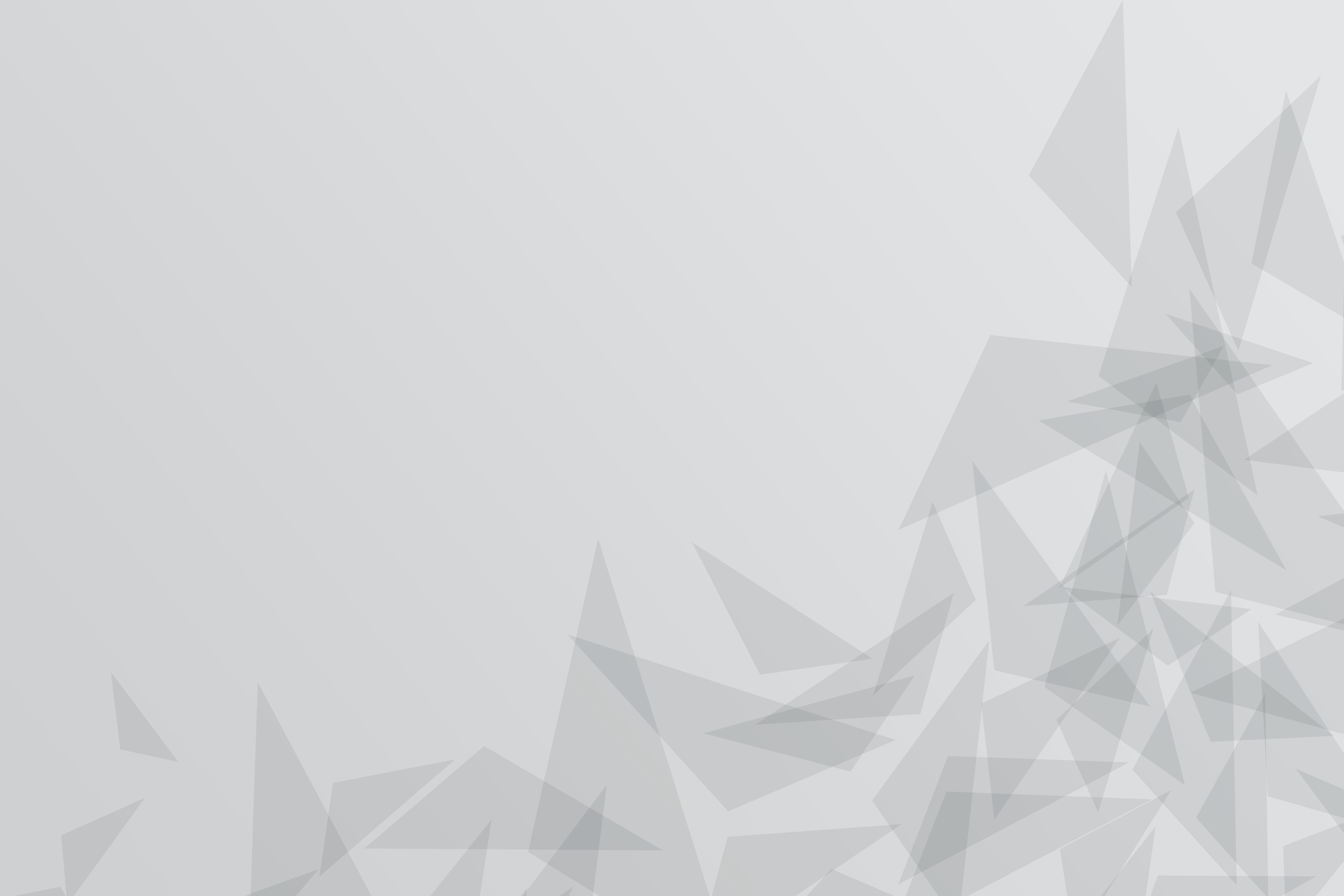 残酷な夢の残骸