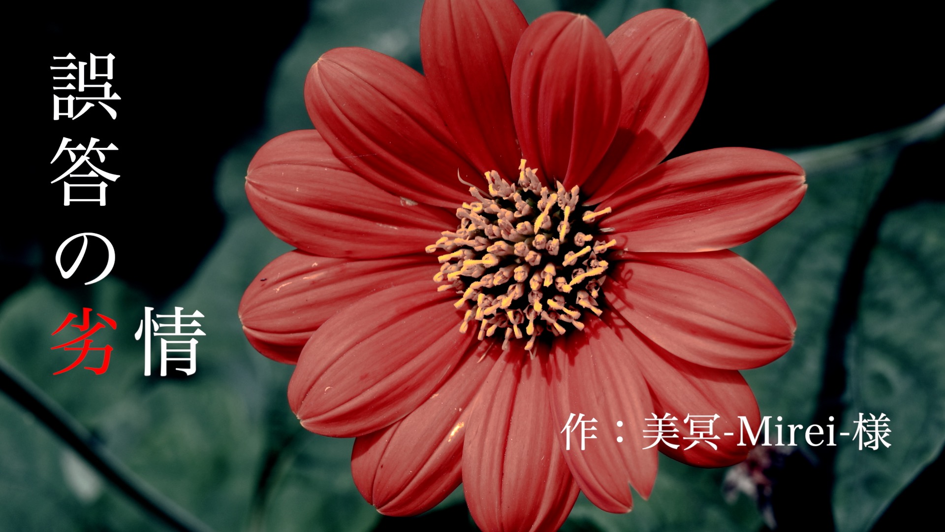 誤答の劣情